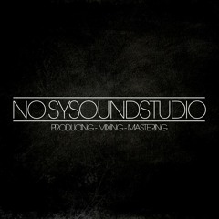 Noisy Sound Studio