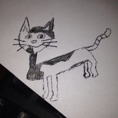 kuhnkatt