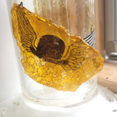 Shatterhouse Extracts