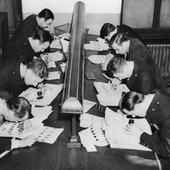 The Forensic Accountants