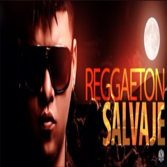 Reggaeton Salvaje