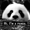 Pandarm