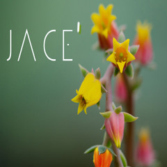 Jace'