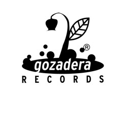 Los Amigos Invisibles