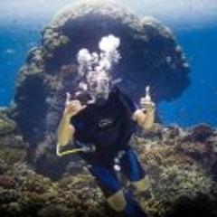 Rizki Allesa Krishnadi