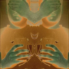 Rusty Pone... Hox&Found, D.L. Darko, The Pones