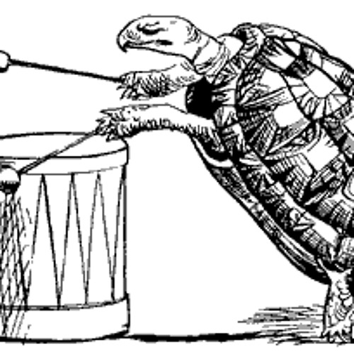 Turtles With Beards - Simple Waves