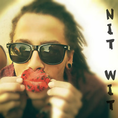 Nit-Wit