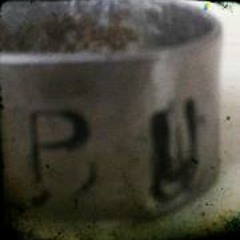 Edvin Punkarn Bergsland