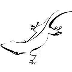 GECKODANCE