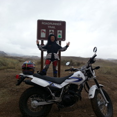 Groovy Cool Upbeat Skilled