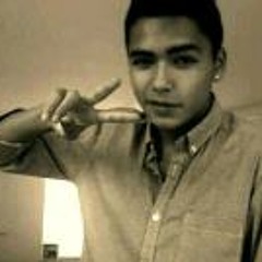 Stefano Van den Elst