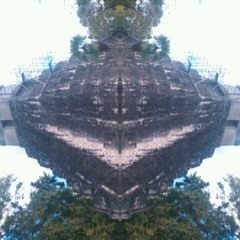Linear  Vision