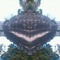 Linear  Vision
