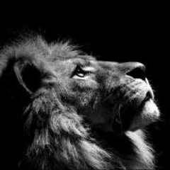 Roberto Sanchez Moreno 1