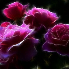 Ana.rosa
