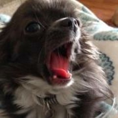 Mary Pfenenger Johnson