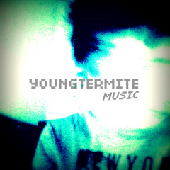 Young Termite Music