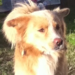 jonathoncharpentier22