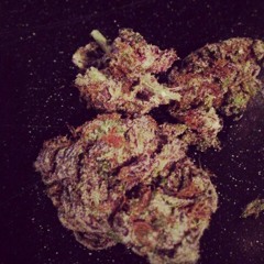 sir_dankness