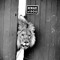 entrancetoanexit