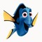 Dori