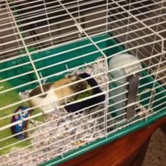 Daniel Rodriguez 254