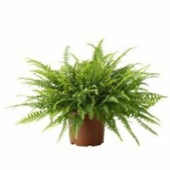 Marina Ruiz Carvajal