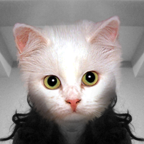 Serge Gainsbourg & Franc Gall - Les Sucettes