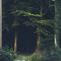 nature of the experiment