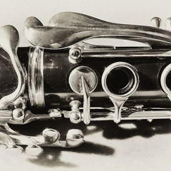 stephanie-eleanor-nelson