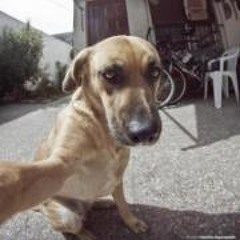 Weiloon Ooi Wei Loon