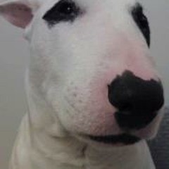 Marcelo Felipe Mello