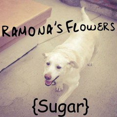 Ramona's Flowers