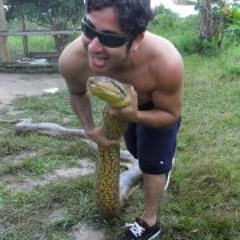 Shortys Biggie Smalls