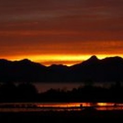 Carlos Barrientos Riveros