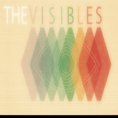 The Visibles Demos