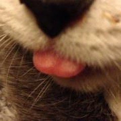 Glenn Stuart Patterson