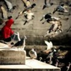 Menna Assem