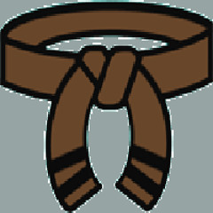 the brown belt