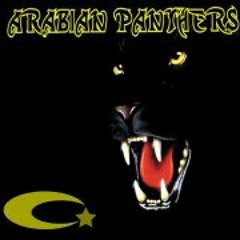 Arabiann Panther