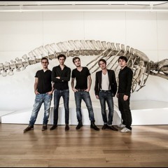 glazeband