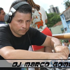 Marco Gomes tribal