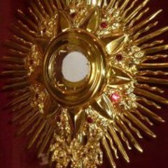 Janer Paternina Palacios