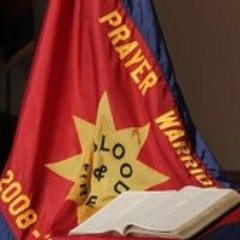 Nando Reis - all star