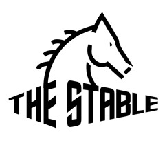 The Stable - White pony