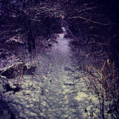 Steven Partington Jr