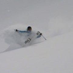 Daniel Januschkowetz