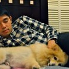 Mark Dingo B. Francisco