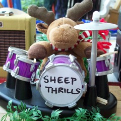 Sheep Thrills
